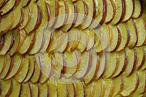 Apple slices in neat rows on a baked pie covered by a thin layer of glaze in detail