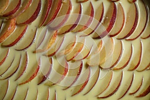 Apple slices in neat rows on a pie to be baked covered by a thin layer of glaze in detail