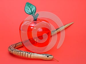Apple and snake