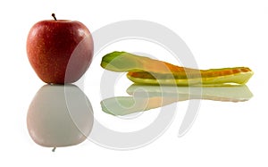Apple and snake, reflected