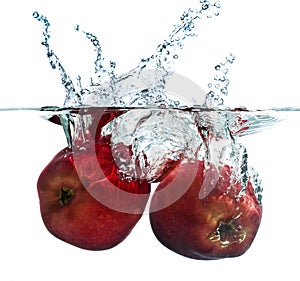 Apple Splash