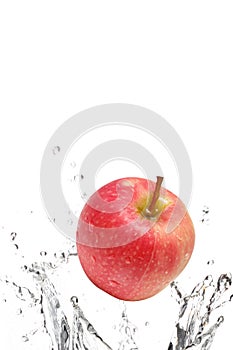 Apple splashing in water