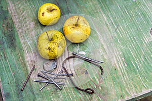 Apple Still Life