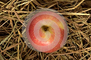 apple. straw. on wood