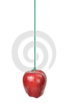 Apple on a String