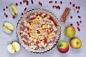 Apple tart in the baking dish decorated with fresh apples, cranberry, spices, cinnamon sticks on the gray kitchen background