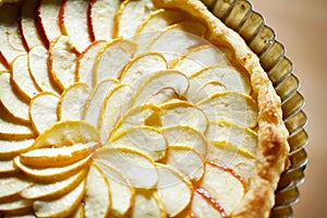 Apple tart detail with apple slices fanned in a pa