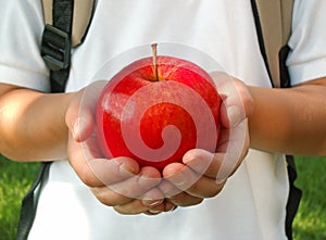 Apple for the teacher