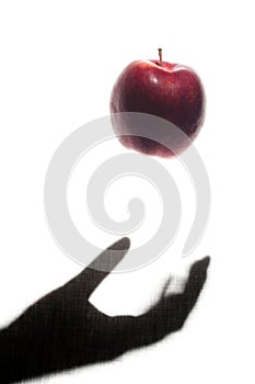 Apple Thrown by a Shadow Hand