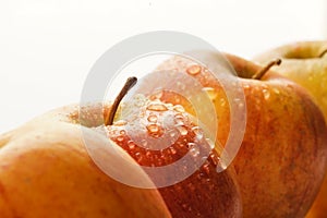 Apple tops with water drops