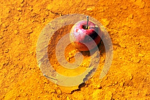 Apple in toxic water