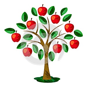 Apple tree