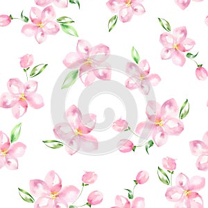 Apple tree in bloom 1. Seamless pattern. Watercolor flowers