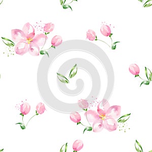 Apple tree in bloom 17. Seamless pattern. Watercolor flowers