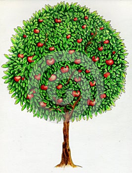 Apple tree drawing