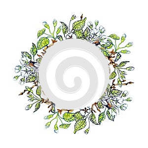 Apple tree floral round frame. Delicate design for wedding white flowers, green leaves and branches. Colorful objects