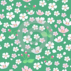 Apple Tree Flowers Seamless Pattern