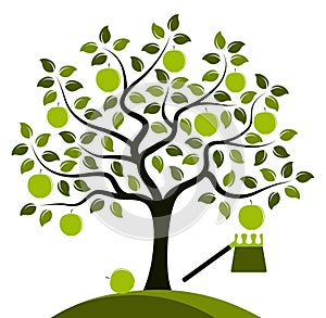 Apple tree and fruit picker