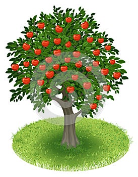 Apple Tree in green field