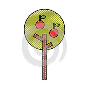 Apple tree isolated icon