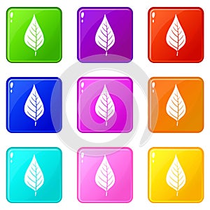 Apple tree leaf icons 9 set