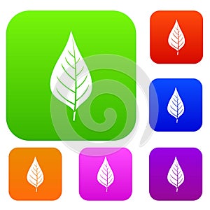 Apple tree leaf set color collection