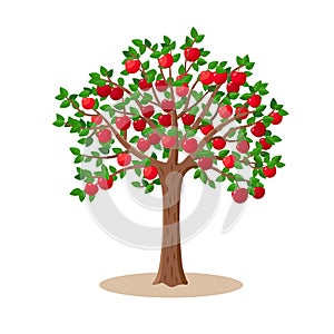 Apple tree with red apples fruits on branches - vector illustration isolated on white background