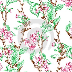 Apple tree sketch Design