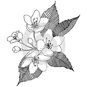 Apple tree in a vector style isolated.