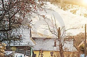 Jabloň a dřevěné domy v obci Vlkolínec, Slovensko, slunce