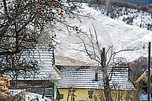 Jabloň a dřevěné domy v obci Vlkolínec, Slovensko, Unesco