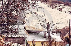 Apple tree and wooden houses in Vlkolinec, Slovakia, red filter