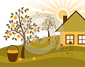 Apple trees, sunflowers and cottage