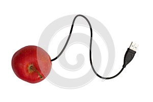Apple and USB cord