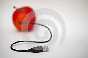 Apple and USB cord