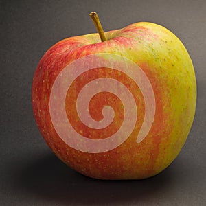 Apple varieties CHAMPION