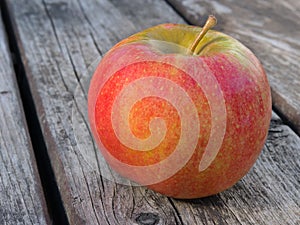 Apple varieties CHAMPION