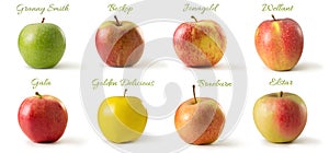 Apple varieties isolated against white background