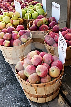 Apple varieties in row of bushel baskets