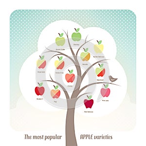 Apple varieties