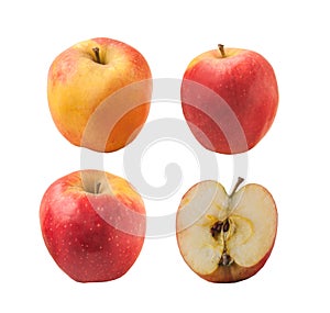 Apple variety Florina or Querina