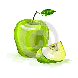 Apple Vector illustration hand drawn painted