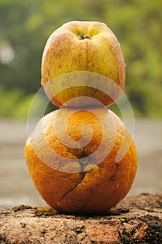 Apple vs orange and apple with blur