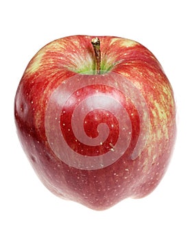 Apple on a white background