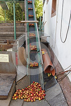 Apple wine press