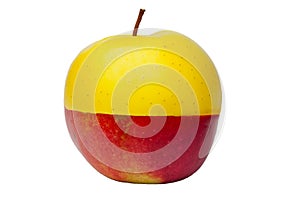 Apple With Yellow And Red Half