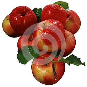Apples