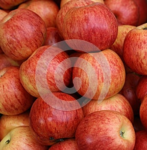 Apples