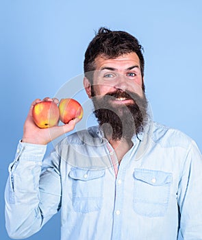 Apples antioxidant compounds responsible health benefits. Nutritional choice. Man with beard hipster hold apple fruit in