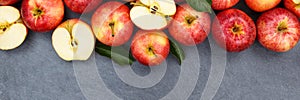 Apples apple fruit fruits slate copyspace banner red top view